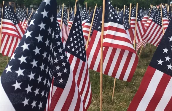 Multiple small American flags on wooden sticks are planted in a grassy area, waving in the wind, with trees and street lamps in the background.