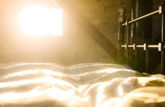 Sunlight streams through a window, illuminating a bed with white bedding and a dark metal headboard.
