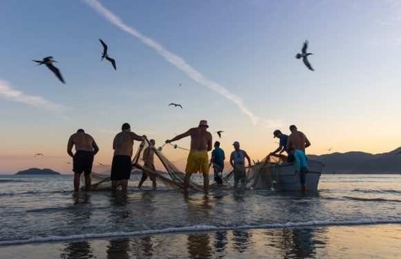 Group of fishermen pulling in a net from the water at sunset, with seagulls flying overhead and mountains in the background.