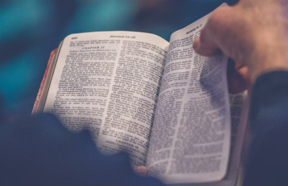 A person holds an open Bible, reading it with their hand on the right page, against a soft, blurred background.