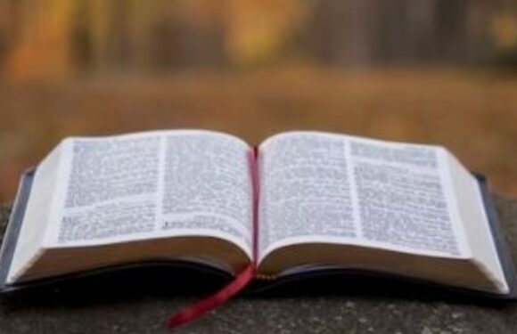 An open Bible with a red ribbon bookmark rests on a flat surface outdoors, with blurred autumn trees in the background.