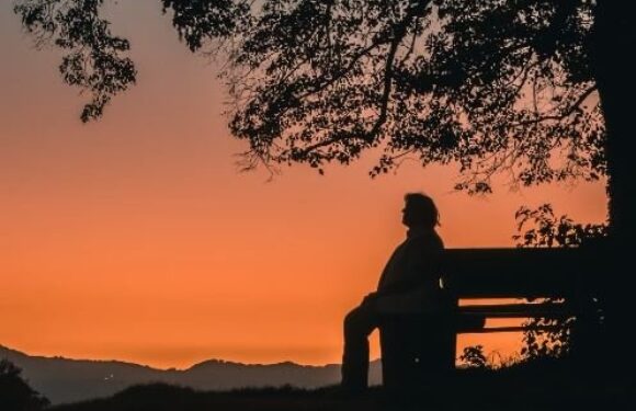 A person sitting on a park bench under tree branches at sunset, gazing at the colorful sky with distant mountains in the background.
