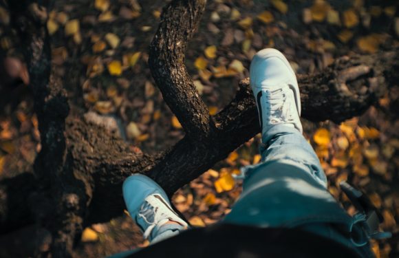Someone is balancing on a tree branch with yellow leaves on the ground below, wearing white sneakers and light blue jeans.