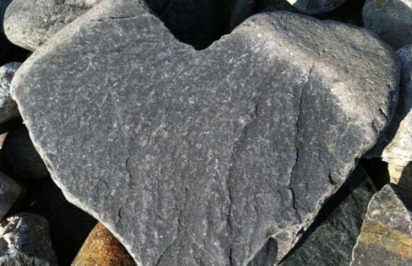 A large, dark gray heart-shaped rock with visible cracks, surrounded by other smaller rocks in various shades of gray and brown.