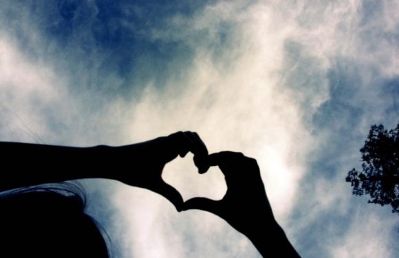 Silhouettes of two hands forming a heart shape against a partly cloudy sky, with a tree branch visible on the right.
