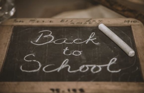 A small chalkboard with "Back to School" written on it in chalk, placed on a wooden surface with a piece of chalk resting on top.