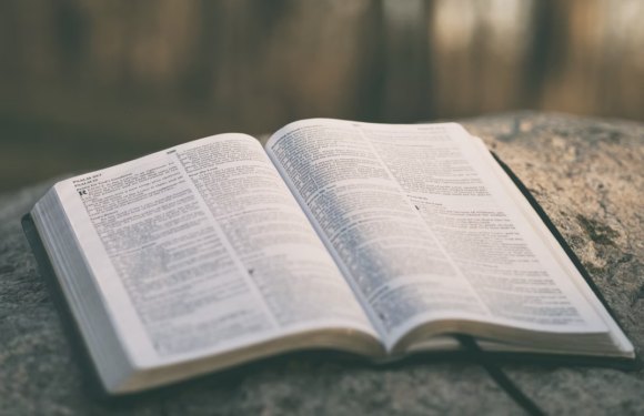 An open Bible resting on a rock outdoors, with trees blurred in the background, during daylight.