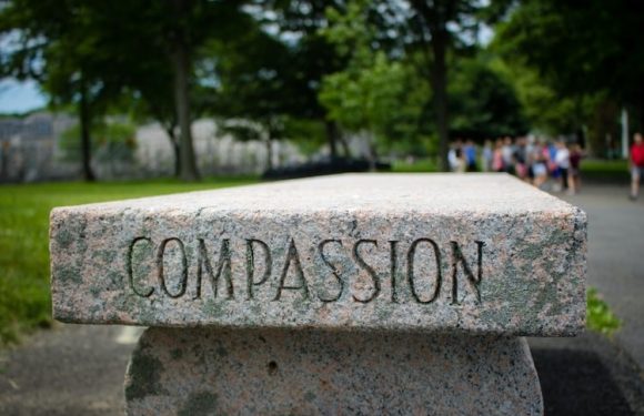 A stone bench engraved with the word "COMPASSION" in a park setting, with trees and people in the background.