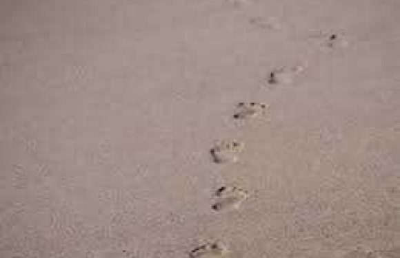 A single row of animal footprints in the sand, leading away into the distance on a light-colored, flat surface.
