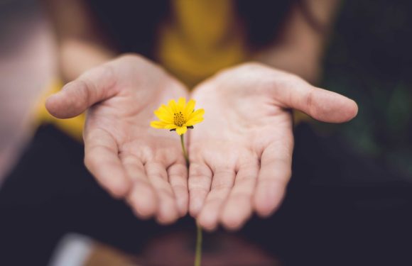 A person holds a yellow flower with both hands, palms facing up, with a blurred background featuring a person in a yellow shirt.
