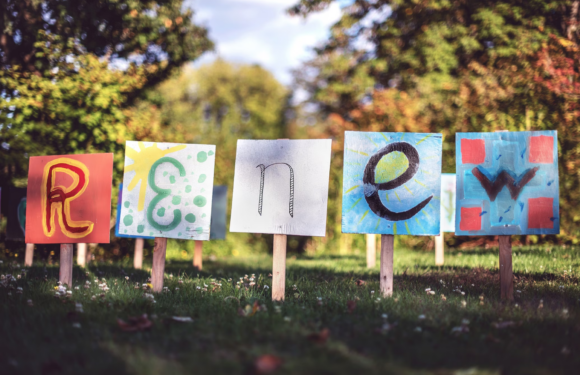 Colorful signs spelling out "RENEW" are displayed outdoors on wooden stakes, with trees and a blue sky in the background.