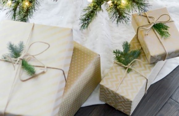Wrapped Christmas presents under a decorated tree with white lights, greenery, and ornaments, on dark hardwood flooring.