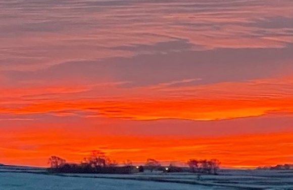 A vibrant winter sunset over snow-covered fields with a silhouette of trees on the horizon, displaying orange, pink, and purple hues in the sky.