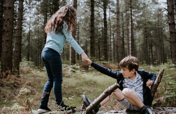 A girl helping a boy back to his feet while he sits on a fallen log in a forest, holding his hand as trees and foliage surround them.