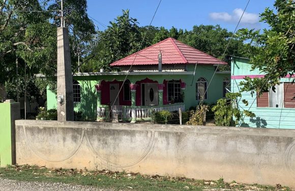 A colorful house with a pink tiled roof, light green walls accented with pink and white columns, surrounded by trees and a concrete wall, under a blue sky.