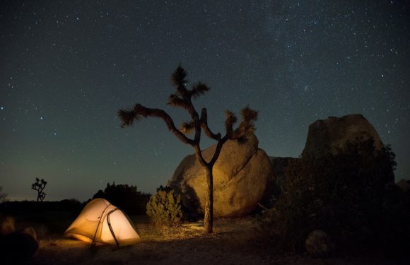 A tent glowing with interior light is set up near a twisted desert tree and large boulders under a starry night sky.