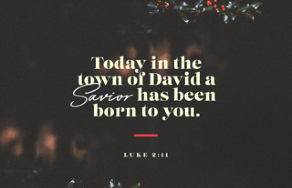 "Christmas-themed image with holly and berries at the top and bottom, featuring the text: 'Today in the town of David a Savior has been born to you. LUKE 2:11'."