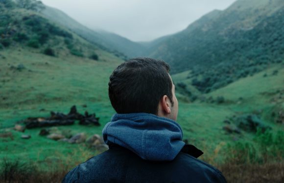 A person with short dark hair, wearing a dark jacket and a blue hoodie, facing away, standing in a green mountainous landscape with rolling hills and a cloudy sky.