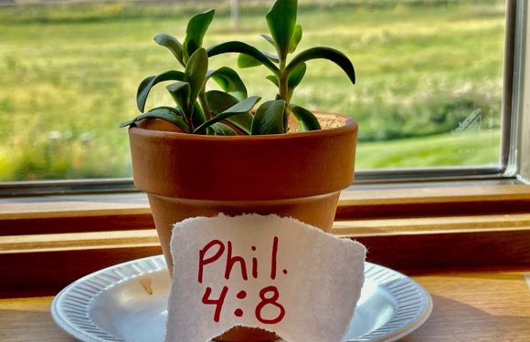 A potted plant with thick, green leaves sits on a wooden windowsill. A torn piece of paper with "Phil. 4:8" written on it is placed in front of the pot.