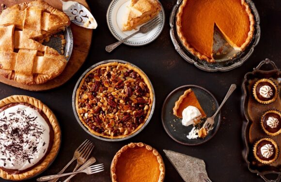 A variety of pies and desserts displayed on a dark surface, including a cherry pie, pumpkin pie, pecan pie, chocolate tartlets, and a layered cake.