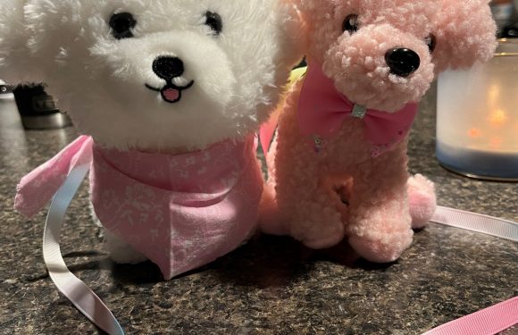 Two plush dog toys, one white and one pink, sit on a countertop against a dark background. Both wear pink ribbons around their necks.