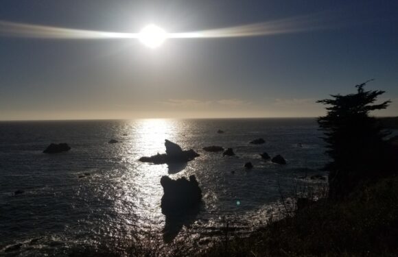 A bright sun over the ocean with rocky formations in the water and a silhouette of a tree on the right side, casting reflections on the sea surface.