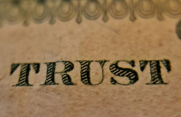 Close-up of a bill with the word "TRUST" printed in bold, black, patterned letters on a textured, light brown background. The edge of the bill features an ornate design.