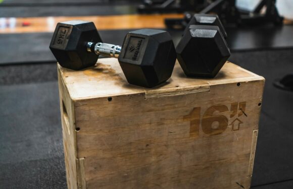 A wooden plyometric box with "16" and "TRX" markings, topped with two black hex dumbbells, in a gym with various weightlifting equipment in the background.