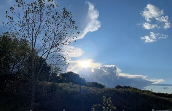 A clear sky with some clouds, the sun is partially obscured by clouds, and a bare tree is in the foreground with a white fence at the bottom.