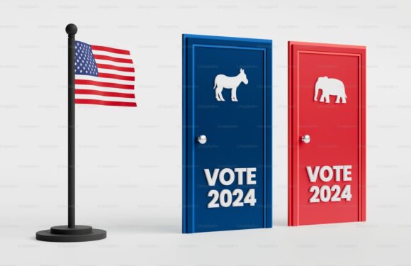 The image depicts an American flag on a black flagpole next to two doors labeled "VOTE 2024." The blue door has a donkey symbol, and the red door has an elephant symbol.