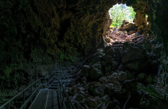 Inside a dark cave with moss-covered walls, a metal walkway with railings leads up to a bright opening with rocks and trees outside.