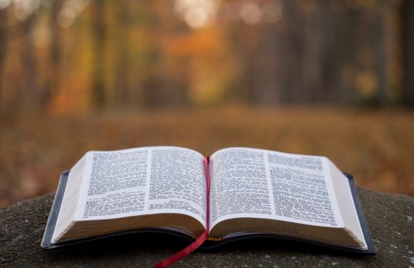 An open Bible with a red ribbon bookmark rests on a large rock outdoors, with a blurred background of autumn trees and fallen leaves.