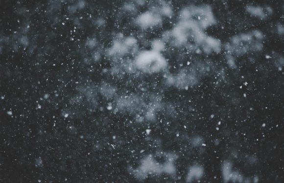 Snowflakes falling against a dark, out-of-focus background creating a winter scene.