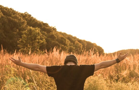 A person with a black shirt and beanie hat stands in a field of tall grass at sunset, arms outstretched, facing away from the camera, with a forested hill in the background.