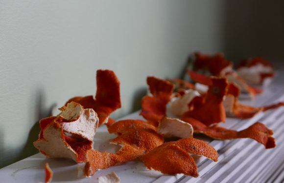 Pizza crust and toppings in various shapes and sizes, with a reddish-orange color, are scattered on a white surface against a green wall.