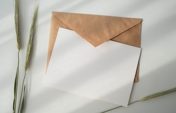 A brown envelope with a white card partially inside, placed on a white surface with sunlight and shadow, accompanied by three stalks of wheat.