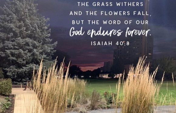 A park scene at dusk with tall grasses, a walking path, trees, and a building in the background. Overlaid text quotes Isaiah 40:8 about God's enduring word.