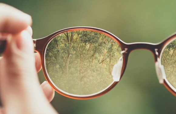 A person holds a pair of glasses with a tree-filled view reflected in the lenses against a blurred green background.