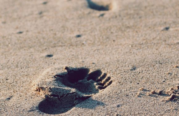 Footprints in the sand, one small and one larger, leading across a sandy beach with some small scattered pebbles and shells.