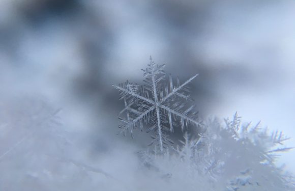 Close-up of a detailed snowflake resting on snow, with a frosty, icy appearance and soft, blurred background.