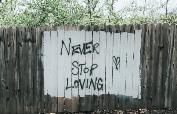 A wooden fence with a painted white rectangular section displaying the words "Never Stop Loving" and a small heart symbol. Behind the fence are trees with sparse leaves.