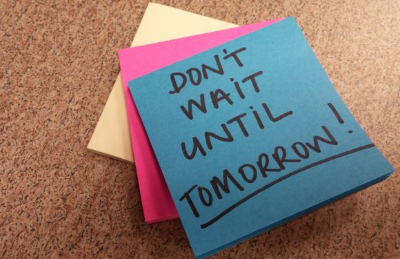 A stack of sticky notes on a textured surface with a blue note on top that says "DON'T WAIT UNTIL TOMORROW!" in black handwritten letters.