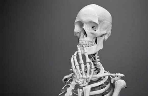 A skeleton posed with one hand resting on its chin against a plain gray background.