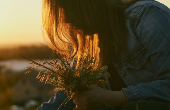 A person with long hair wearing a denim jacket holds a small plant outdoors during sunset, with warm golden light illuminating the scene and their hair.