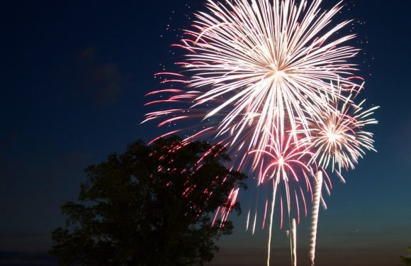 Fireworks explode in the night sky above trees, displaying bright white and red streaks against a dark background.