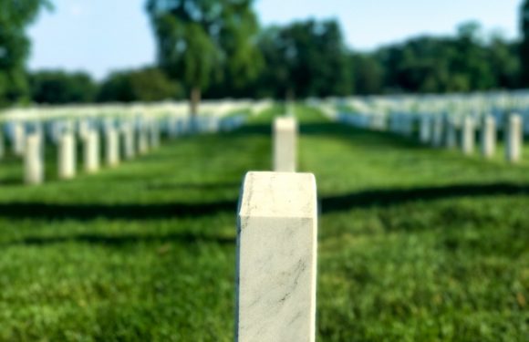 Rows of white grave markers in a cemetery, with green grass and trees in the background under a sunny sky.
