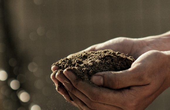 Hands holding a clump of soil or dirt, with particles falling from it, against a blurred dark background.