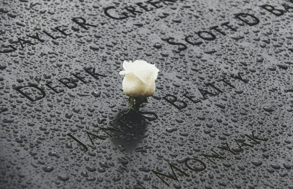 A single white rose lies on a wet, black memorial surface inscribed with names, with water droplets scattered across it.