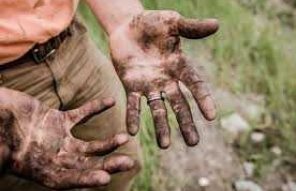 Person wearing tan pants and an orange shirt holds a dirty piglet with muddy hooves in a grassy outdoor area.