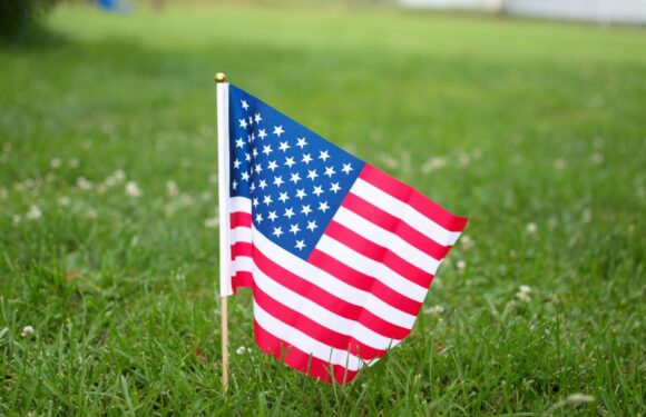 Small American flag on a stick planted in green grass, with a blurred background of lawns and houses.